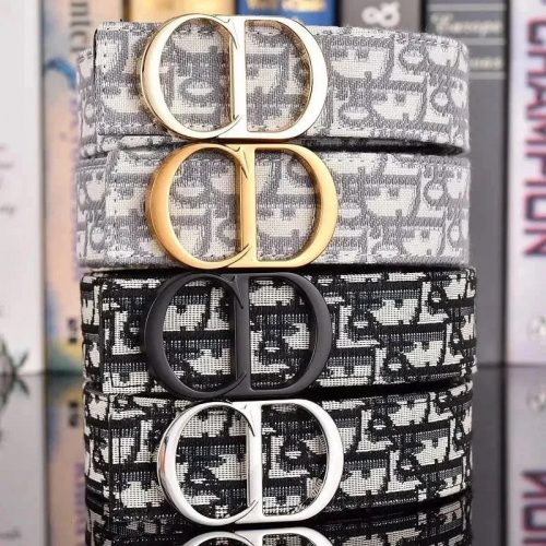 Dior Oblique Canvas Belt Luxury Accessory Multicolor
