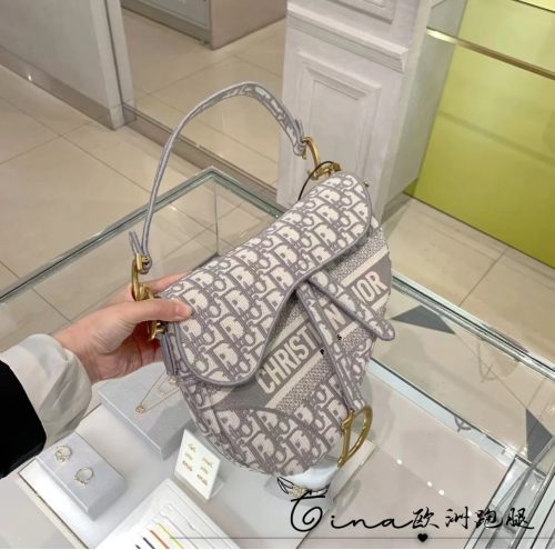 Dior Saddle Bag Embroidered Canvas Shoulder Bag Gray