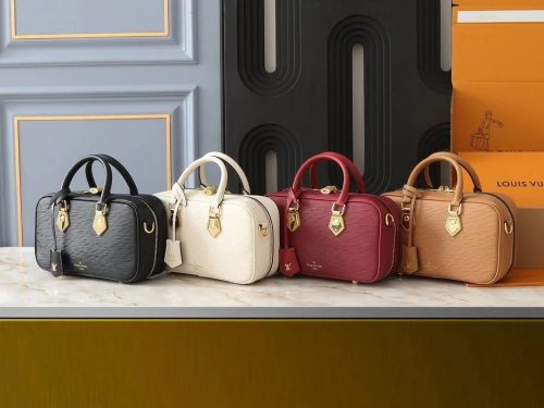 Louis Vuitton LV Epi Leather Camera Bag Luxury Handbag Multicolor