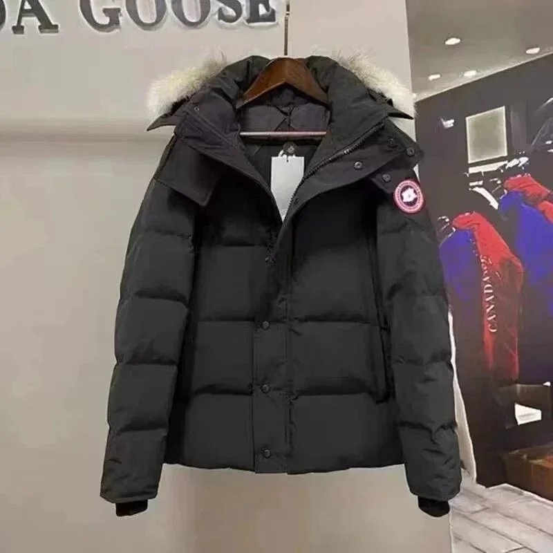 Canada Goose-1