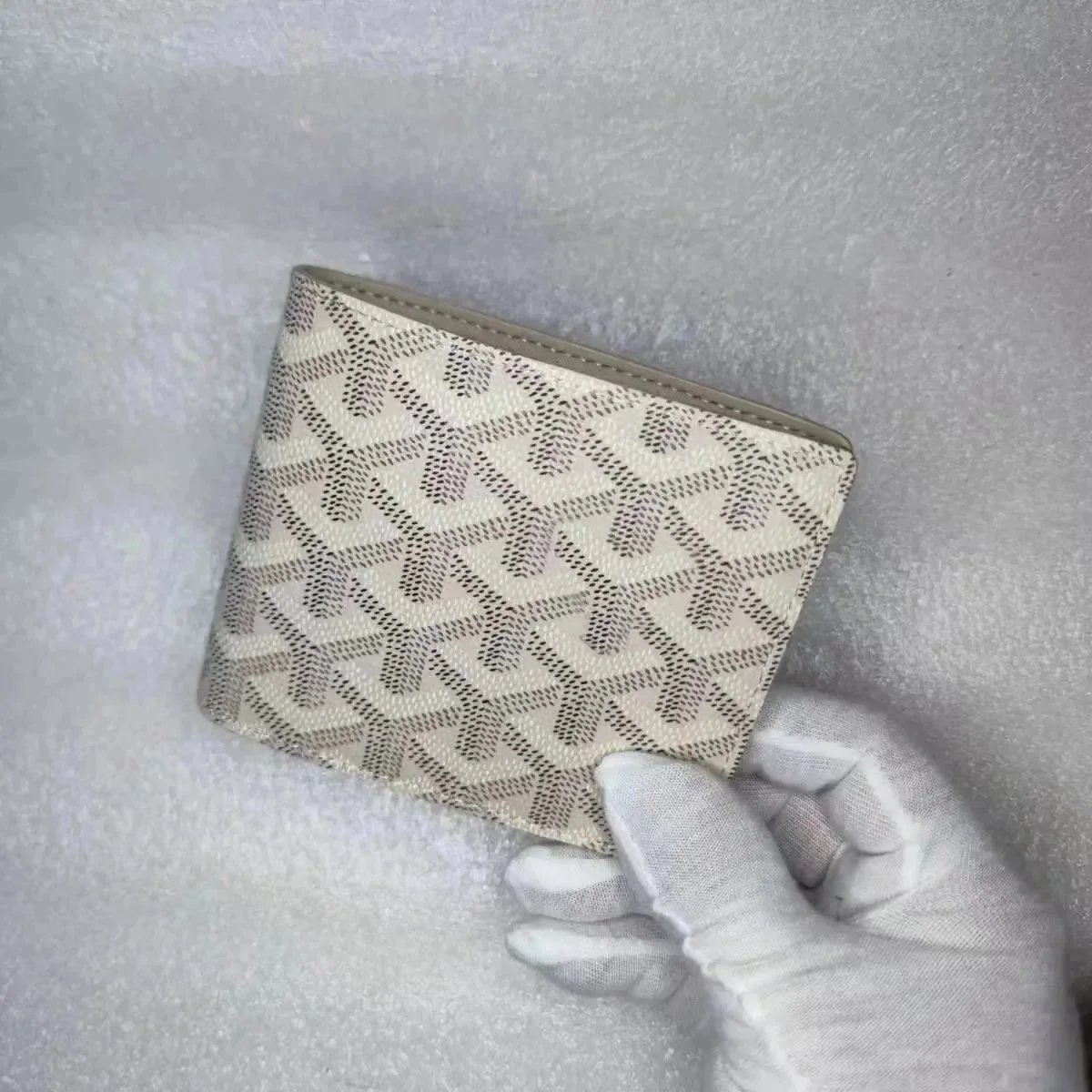 DD050185019