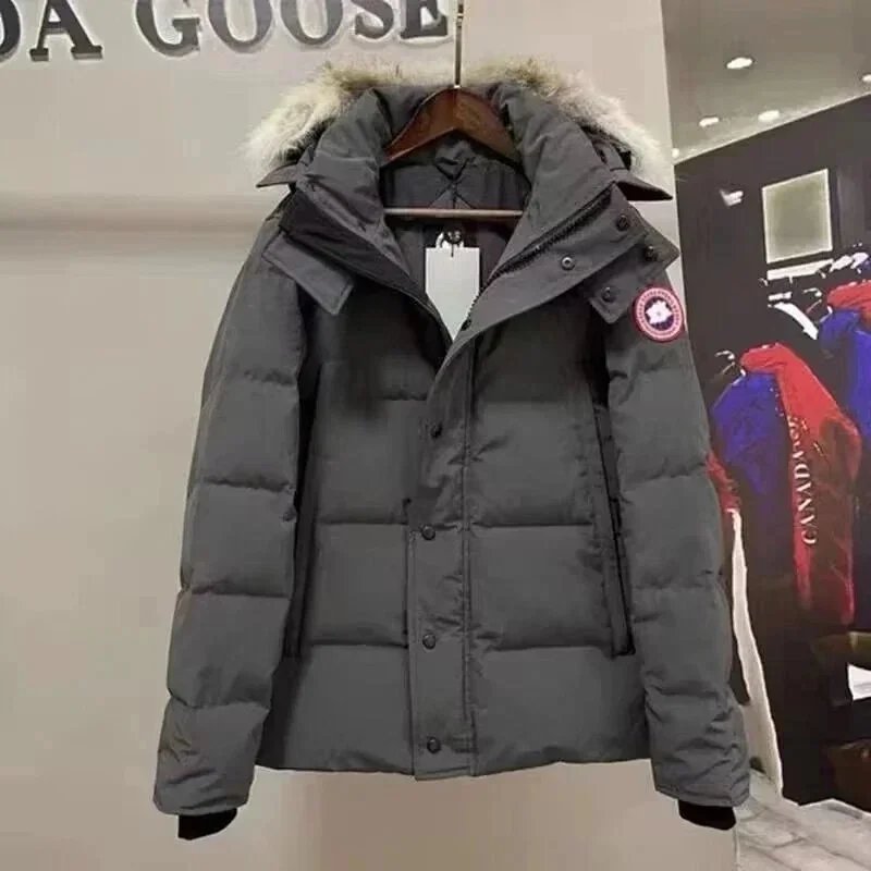 Canada Goose灰色